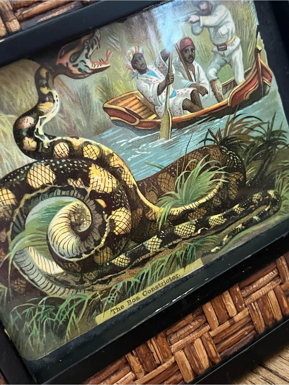 Vintage SNAKE boa constrictor die cut paper ephemera Victorian era